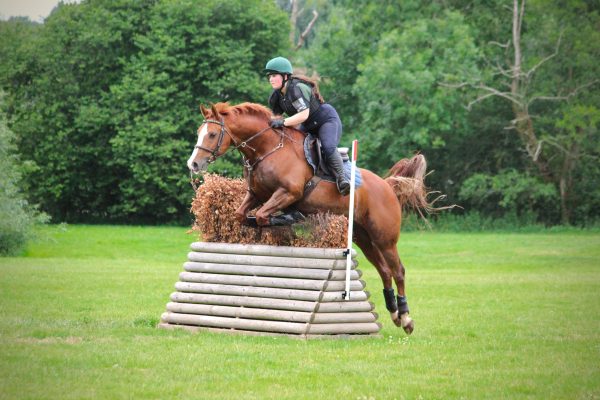 Avonbrook Odin jumping at Lincomb XC (c) JHemming Photography