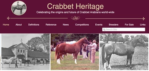 A new website for everyone interested in the Crabbet Arabian!