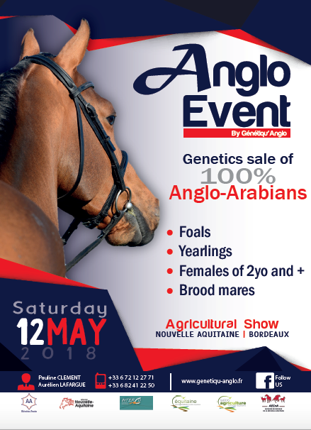 Anglo Event & Equines Aquitanima'Tour
