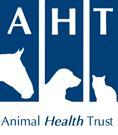 Animal Health Trust Vet champions ridden horse welfare with new video series