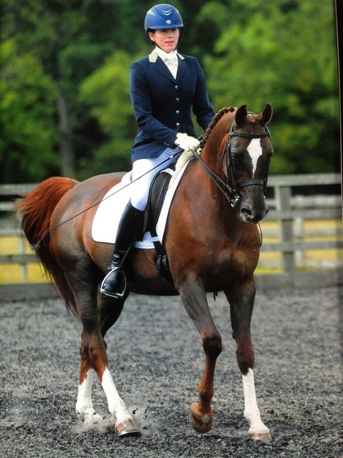 Arabians in the Dressage Arenas: An Interview with Maria Pook