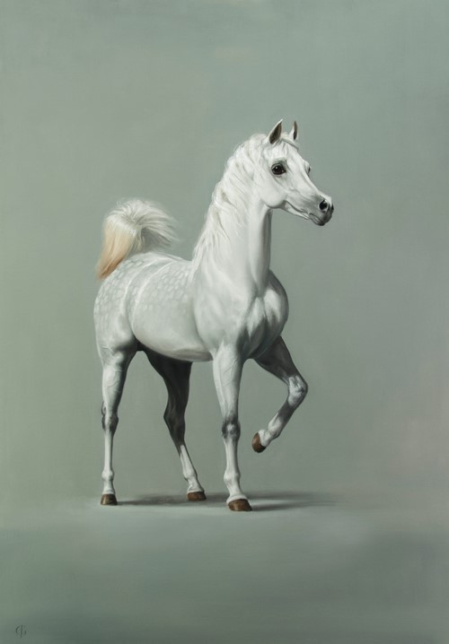 Celebrating the Arabian Horse: Solo show of new equestrian paintings by James Gillick