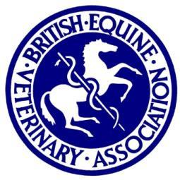 Does equine lameness need to be redefined?