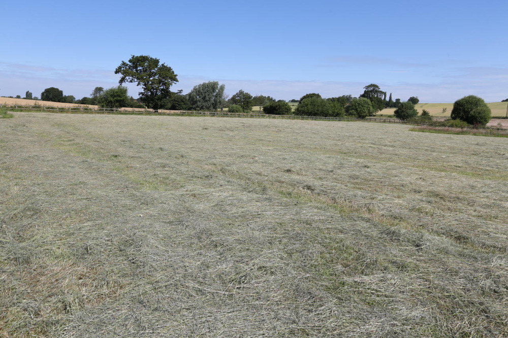Hay shortage? Don’t panic says SPILLERS®nutritionist