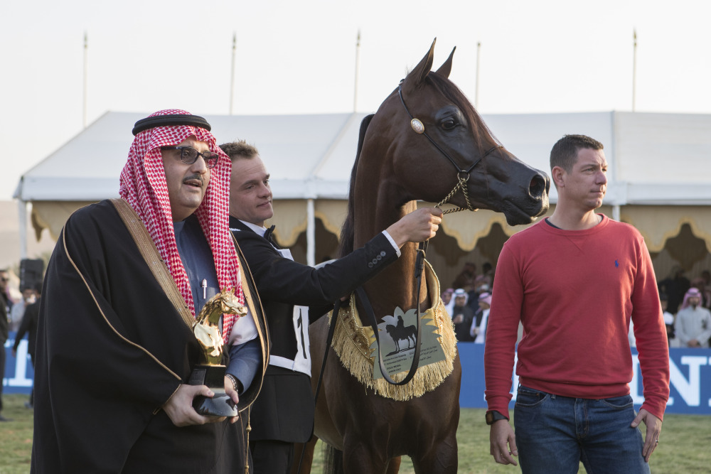 King Abdulaziz Arabian Horse Centre International Championship