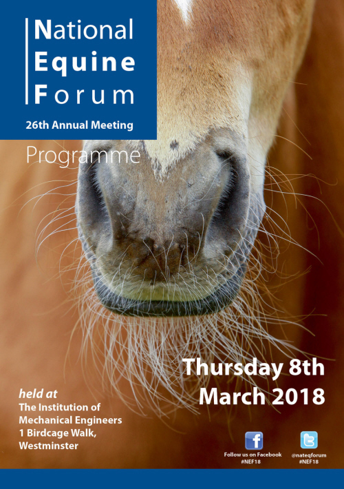 Live Streaming for National Equine Forum