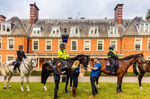 London’s Hyde Park Police Horses Line Up for National Equine Health Survey