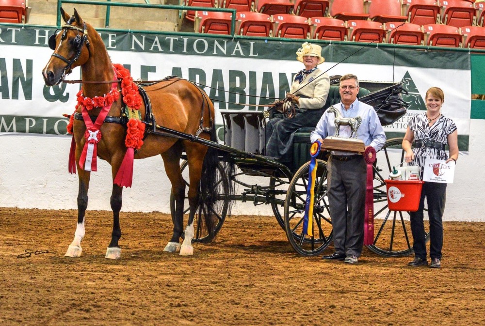Longtime Judge, Rider and Trainer Wins  Vita Flex Victory Pass Award  at the Arabian Sport Horse Nationals 