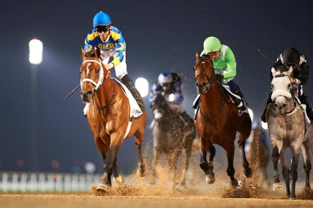 Millionaire Paddys Day Makes Arabian Racing History 