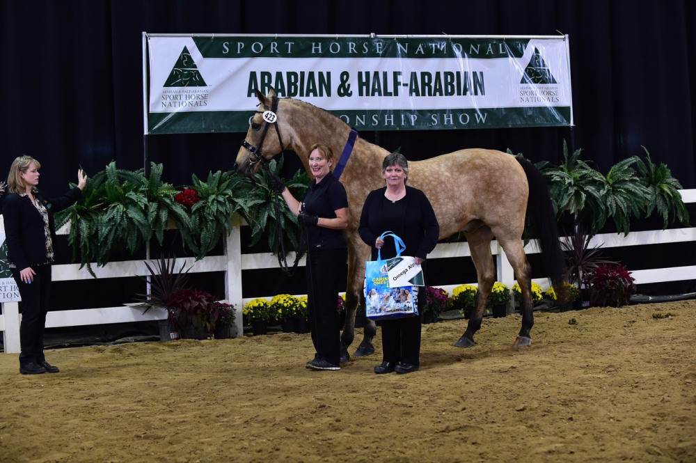 Omega Alpha Healthy Horse Award Strikes Gold with ‘Akceptional’ Choice at AHA Sport Horse Nationals