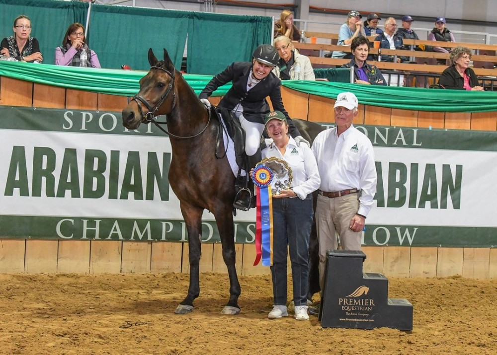 ‘Premier Equestrian’ Beth Noteman Recognized at  2016 Sport Horse National Arabian Championships