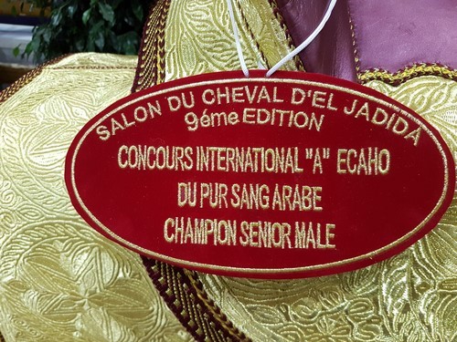 The 9th International Arabian Horse A Show - Salon du Cheval d'El Jadida