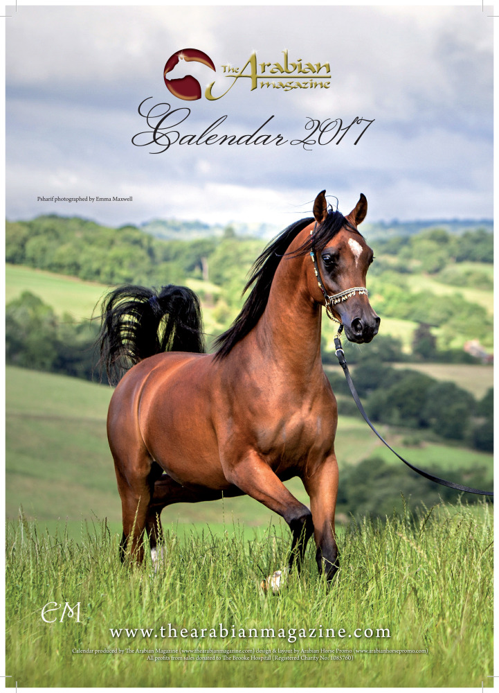 The Arabian Magazine Calendar 2017 (A4)
