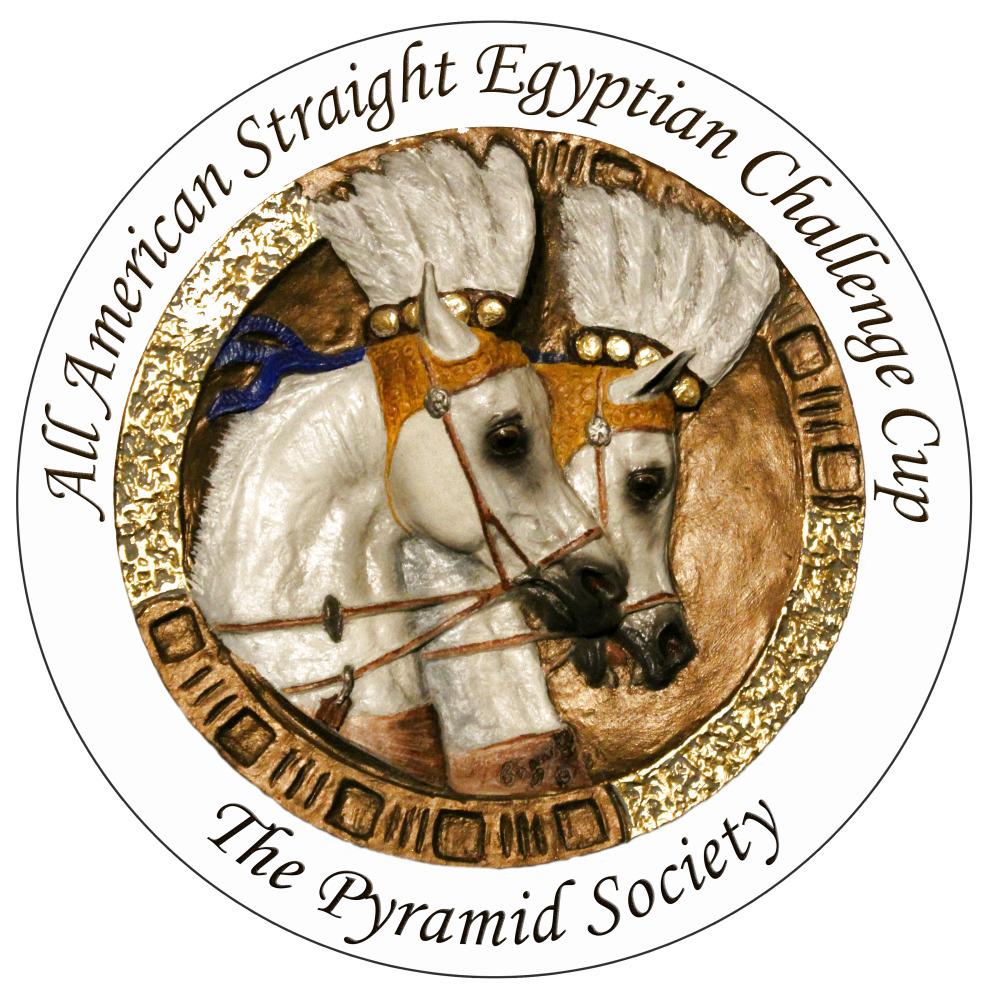 The new All American Straight Egyptian Challenge Cup kicks off at the Scottsdale Arabian Horse Show