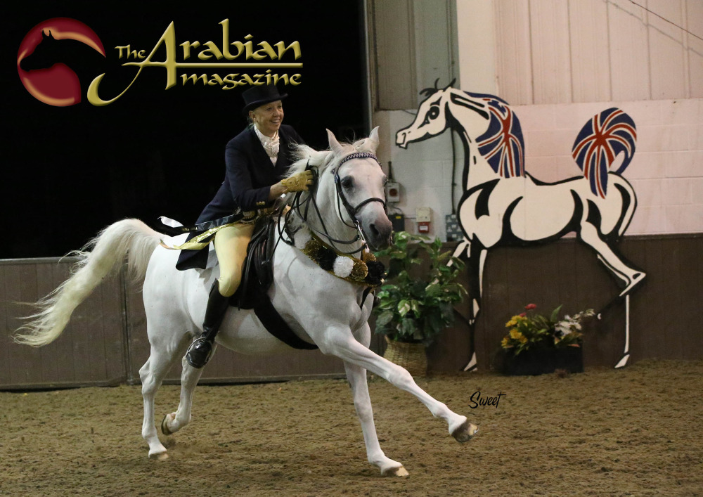 The UK International Arabian Horse Show