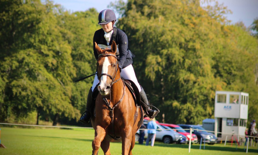 Avonbrook Odin after his showjumping round The Girl with the Jumping Arabs The Arabian Magazine