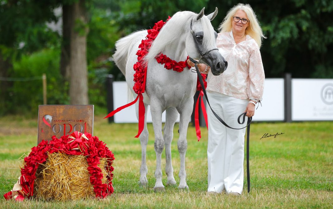 Grey mare winning Best In Show at Sopot