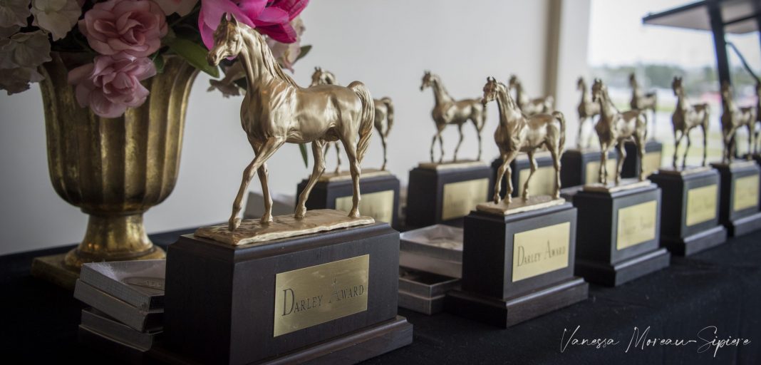 Darley Awards 2023