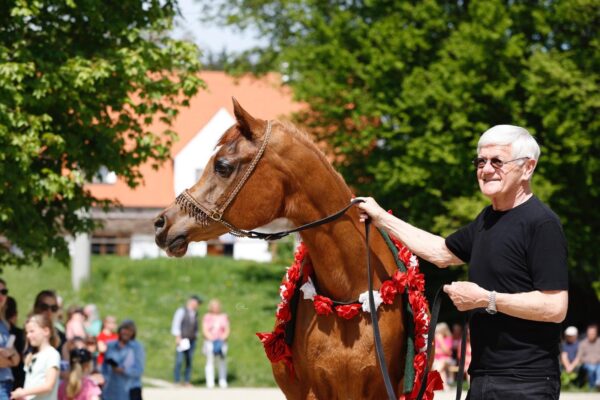 Reinhard Sax Sax Arabians Essteema The Arabian Magazine