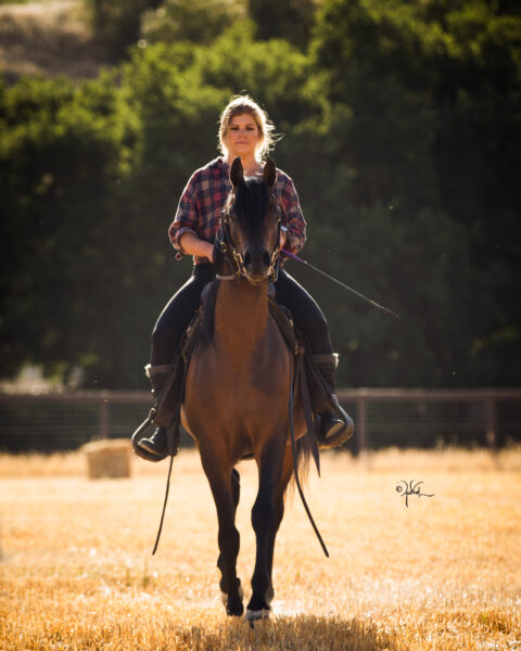 Yvonne von Stiphout riding Om El Shawan