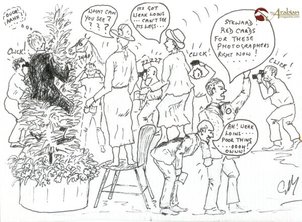 cartoon showing a lot of judges n the ring trying to find the horse