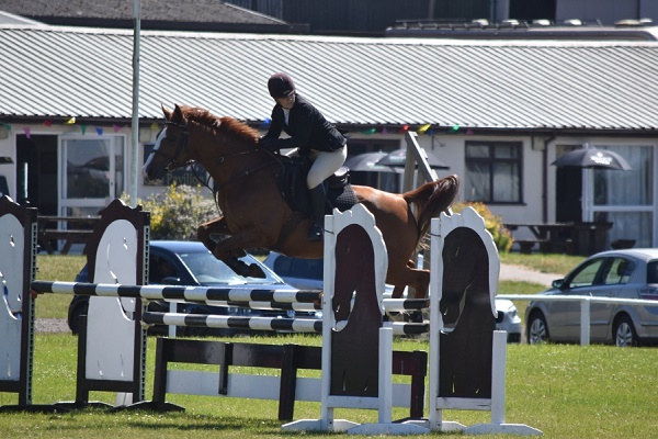 Avonbrook Odin jumping a double clear (110cm-120cm) a t Wales and West p.c. Showground Photography