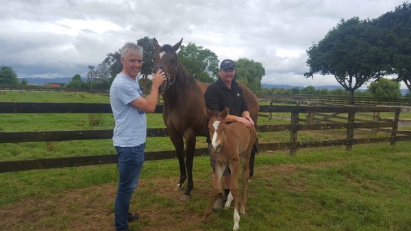  Dr Martin Nielsen with a mare and foal