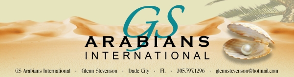 GS Arabians International