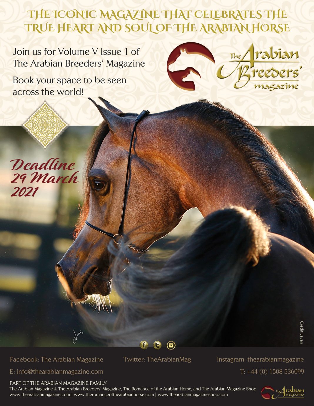 deadline poster for The Arabian Breeders' Magazine Volume V Issue I