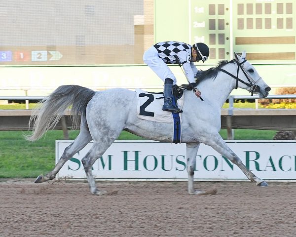 Uptown Sandy Girl Darley Arabian Racehorse of the Year 2020