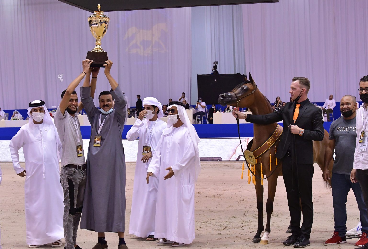 Dubai International Arabian Horse Championships 2021 - The Champions ...