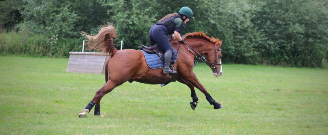 Katherine with Avonbrook Odin