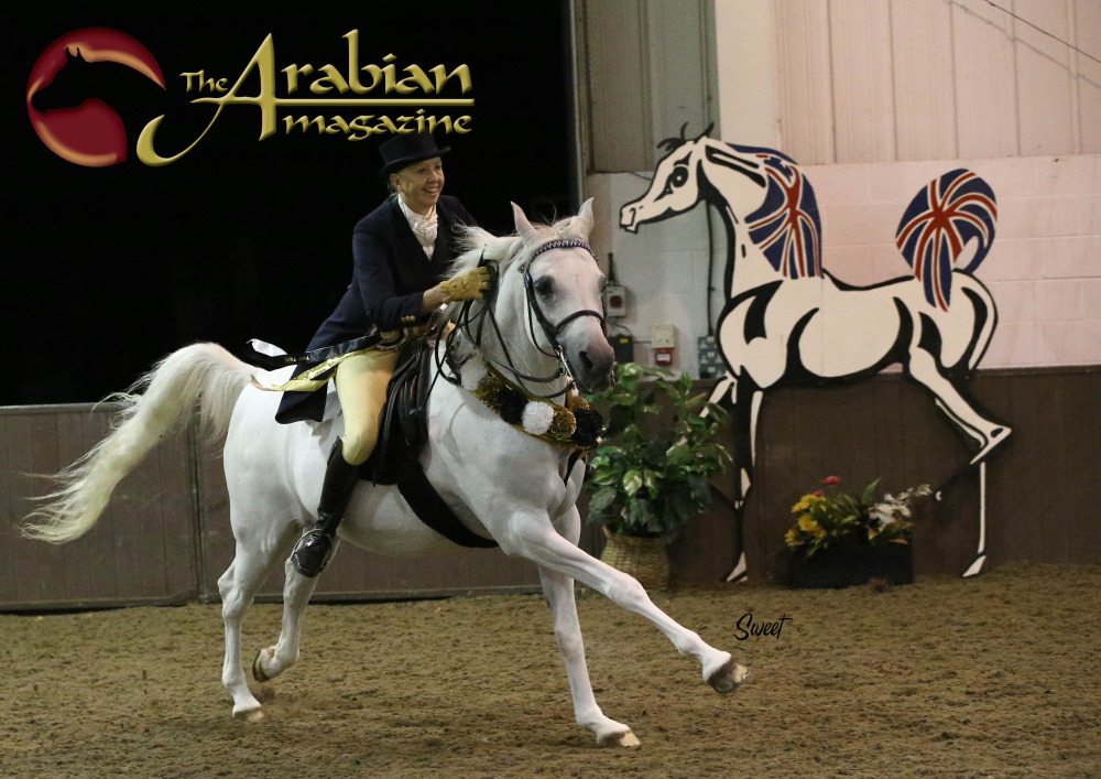 The UK International Arabian Horse Show The Arabian Magazine